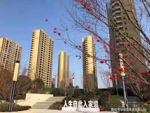 鎮(zhèn)江新盤速遞 一站式獲取樓盤動(dòng)態(tài)、地址戶型與教育資源解析